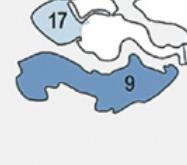 Zeeuws-Vlaanderen Zeeuws-Vlaanderen Type regio Provincie Gemeente(n) Thema s in actieplan Krimpregio Zeeland Hulst, Sluis, Terneuzen Algemene aspecten krimp Wonen Ruimte & mobiliteit Onderwijs Zorg