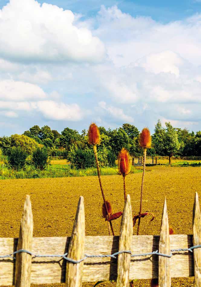 De Keyser ligt midden in het polderlandschap van de gemeente Beemster.