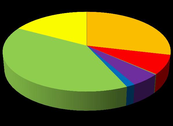 oorzaken gemaakte fouten 2016 17% 29% Andere oorzaak, zie omschrijving Fout bij afleveren 40% 5% 8% Fout leverancier Fout voorschrijver 1% 0% Onduidelijk recept Verkeerd aangeschreven Figuur 13: