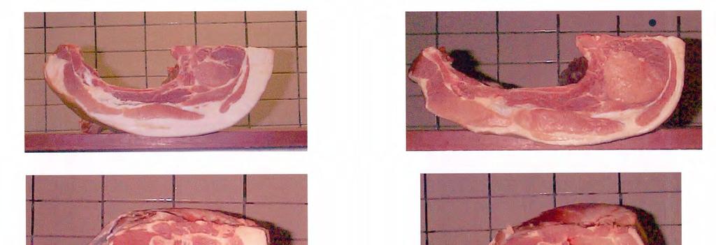 Foto 5 Verschil in conformatie en spekdikte van 2 varkenskarkassen