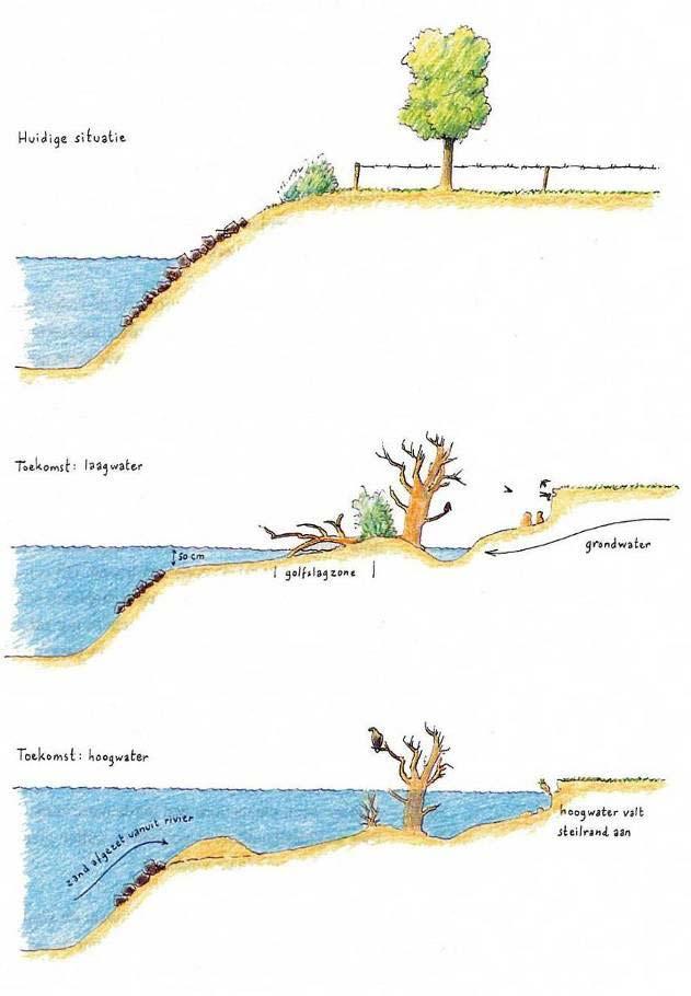 Dit resulteert na verloop van tijd (tientallen jaren) in een keur aan habitats voor waterplanten en vissen (geïsoleerde en geheel of deels aan de rivier