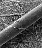 Hoe groot is een asbestvezel 40.00 µm 7.00 µm 0.