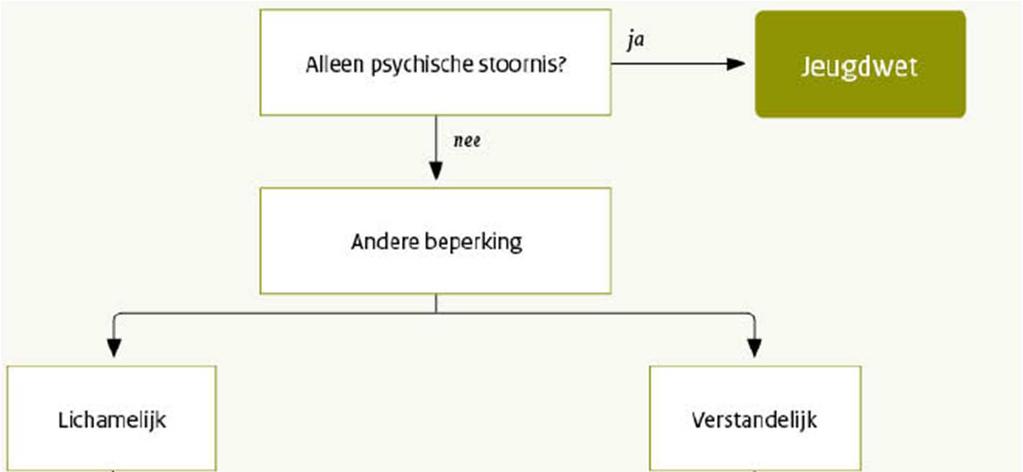 Onderstaand schema toont dat naast het JW-budget te financieren jeugdhulp kan bestaan voor een jeugdige die ook een WLZ-indicatie heeft.