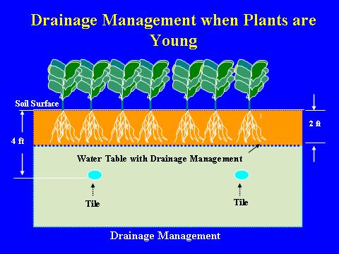 Drainage