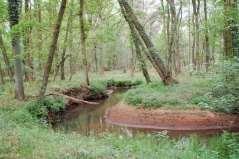 5. Biotoop : zoet water Stromend water sedimentatie opbouw a erosie afbraak holle oever bolle oever b grof substraat fijn substraat a stroomsnelheid zuurstofgehalte