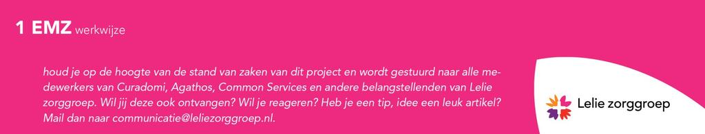 - De teamtaken worden onderling verdeeld. - Ieder teamlid is gelijkwaardig aan elkaar. Onderscheid zit uiteraard wel in opleidingsniveau en bevoegdheden in de zorgverlening.