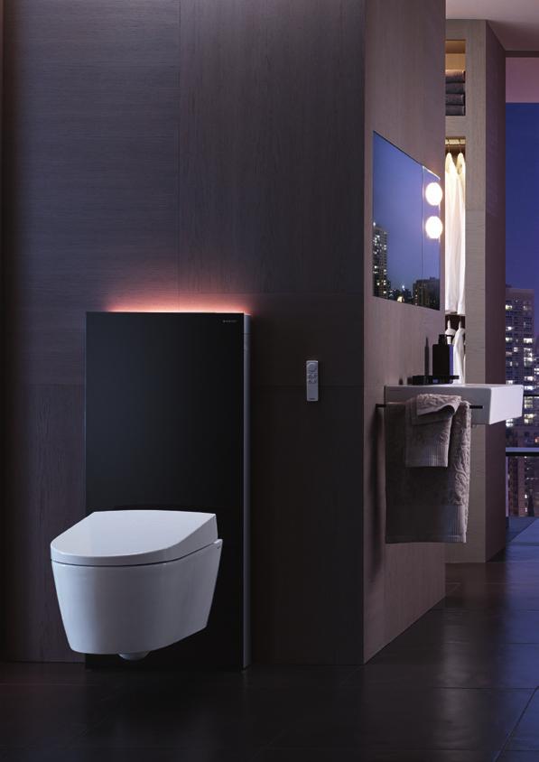 Lumineus. Monolith Plus. De sanitaire module Monolith Plus voor wc heeft alles om te bekoren.