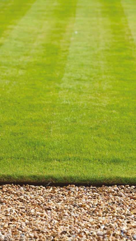 Het doorgroeien van het grasveld in de border is verleden tijd. Kanten strak afsteken is niet meer nodig. De tuin zal met toepassing van kantopsluitingen er altijd verzorgd uitzien.