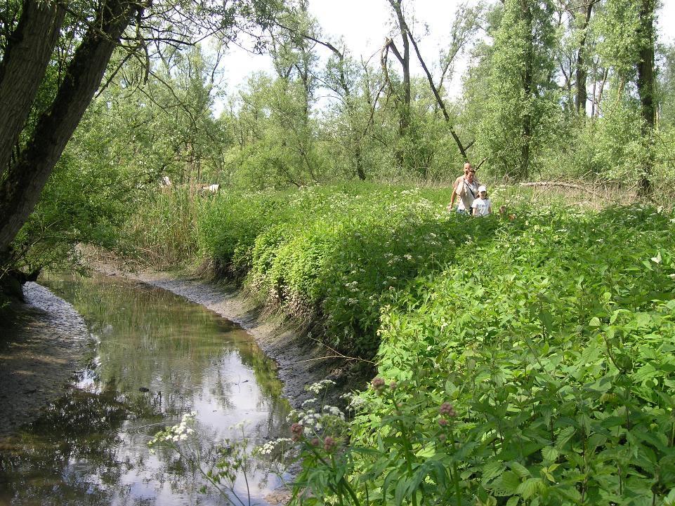 Nationaal Park De