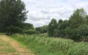 KIJVELANDEN BOS VALCKESTEIJN WAALBOS DONCKSE VELDEN DEVELBOS SANDELINGEN-AMBACHT Landschap Samen bouwen aan het landschap In IJsselmonde werken we aan een aantrekkelijk landschap.