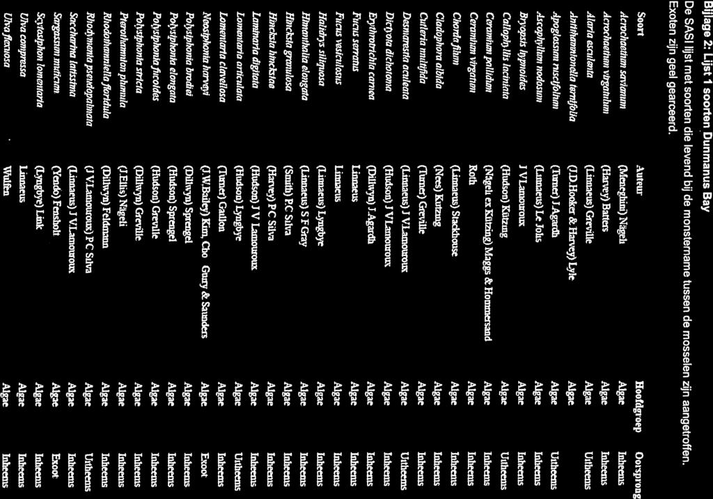 Brsopsis!pioid s J ivlanionroux Algae 1nheem Caiaphyllis Jacinicra (Hudson) Ktitzmg AIg]e Uttheerns Caraminrnpallidnrn (N.