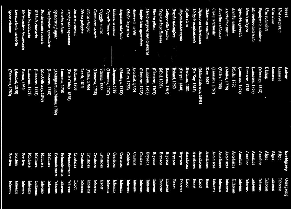 BoIrilus sch1ose Pa11as 51766 Ascdacea Inheenis Cïona intetinalis jclimieus, 1763) lnheeins Djdcmrnnn xtllwn Kott, 2002 Aidacea Enai Dpkxøma Istriamnn (MneEdvd, 1841) Ascidtacea Eoo1 Moignin manh!