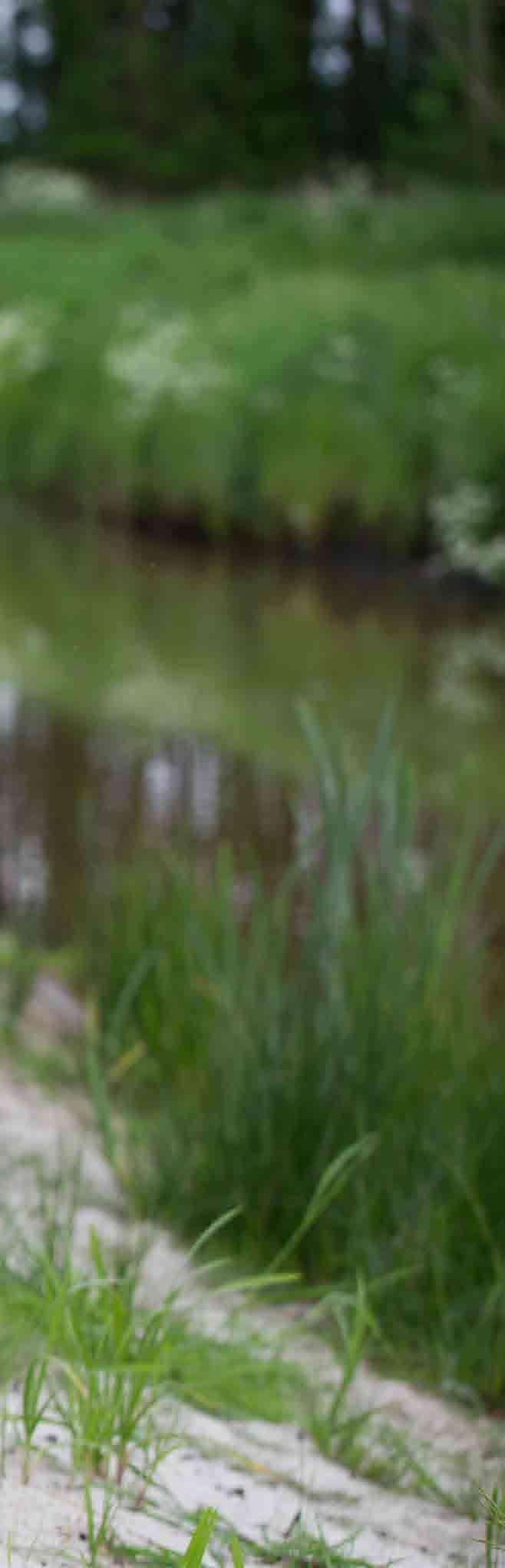 Lochtenrek: een archeologische goudmijn Wiebe van der Vliet doet archeologische vondsten in zijn achtertuin Wiebe van der Vliet viel met zijn neus in de boter toen zijn vrouw en hij in Makkinga