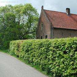 erfafscheidingen en inritten Erfafscheidingen staal en hout met klimop groene haag in zij-erfgrens Erfafscheidingen bepalen