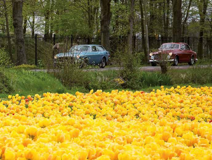 Naar Noordwijkerhout, de Zilk, Voorhout, Vogelenzang en daarna weer terug naar dag. De Keukenhof was heel mooi, hier bloeiden de hyacinten nog wel en dat rook je dan ook duidelijk.