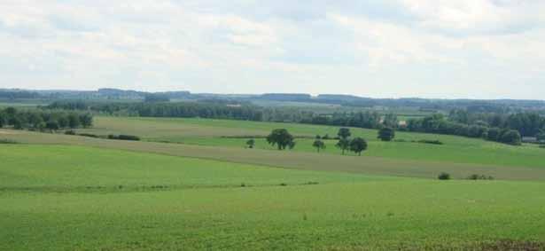 1. Perceptie van landschap en natuur Gebaseerd op: Hermy & De Blust (1997), MVG, afd. Monumenten en Landschappen (2001), Hendriks & Kloen (2003), Steg & Buys (2004), Hermy et al. (2004), Rogge et al.