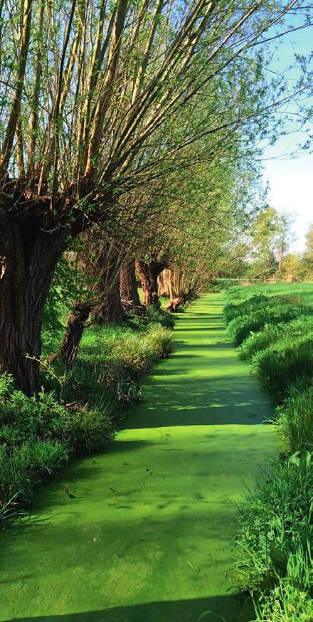 WERK MEE AAN EEN MOOIER LANDSCHAP Afhankelijk van waar je woont,