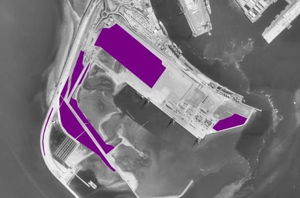 Bijlage 3: Situering van de broedgebieden van Visdief, Dwergstern en Kokmeeuw in de voorhaven van Zeebrugge in het broedseizoen 2004.