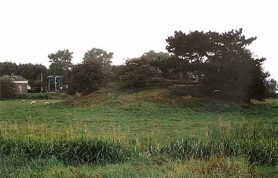 Bijenfauna en beheer van zeven terreinen van Natuurmonumenten 33 NM5 Heuvel met bunker in weiland ten westen van het Naardermeer (figuur 10).