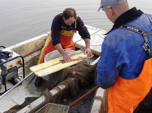 4.2.2. Wateren in eigendom van derden In (KRW-) wateren die in eigendom zijn van derden, zoals gemeentes, Staatsbosbeheer en Natuurmonumenten, is de eigenaar verantwoordelijkheid voor het uitvoeren