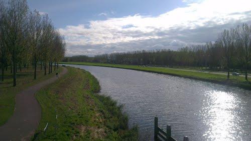 volg van het bodemwoelende gedrag bij het voedsel zoeken, dragen karper en brasem bij aan de vertroebeling van het watersysteem.