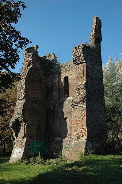ruïne kasteel Te