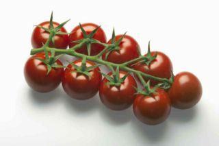 Figuur 6 Geholpen bekendheid verschillende typen tomaat?