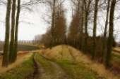 De Meeldijk vormt de grens van s-heer Arendskerke en de Ankeverepolder.