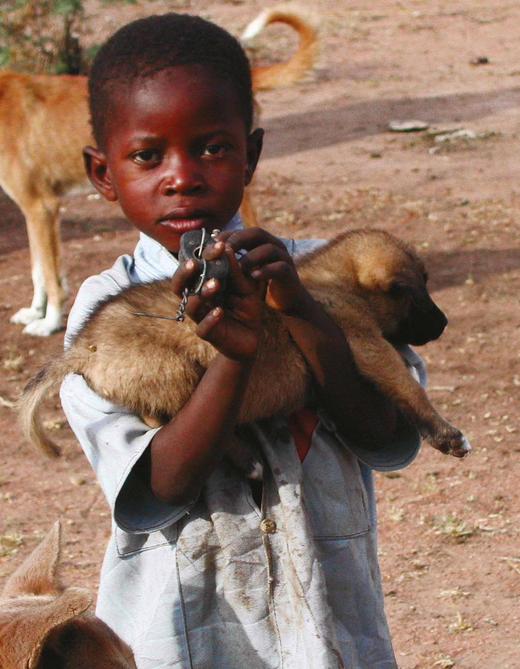 In Afrika en Azië ondersteunt MSD Animal Health de rabiësprojecten Afya en Mission Rabies. Wereldwijd sterven er jaarlijks 59.000 mensen aan rabiës.