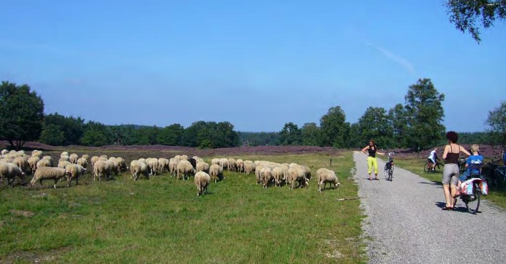 3.3. ONDERDEEL 2: KWALITEIT RANDVOORWAARDEN De kwaliteit van een fietsregio wordt niet alleen bepaald door de kwaliteit van het netwerk zelf, vele andere aspecten spelen een rol.