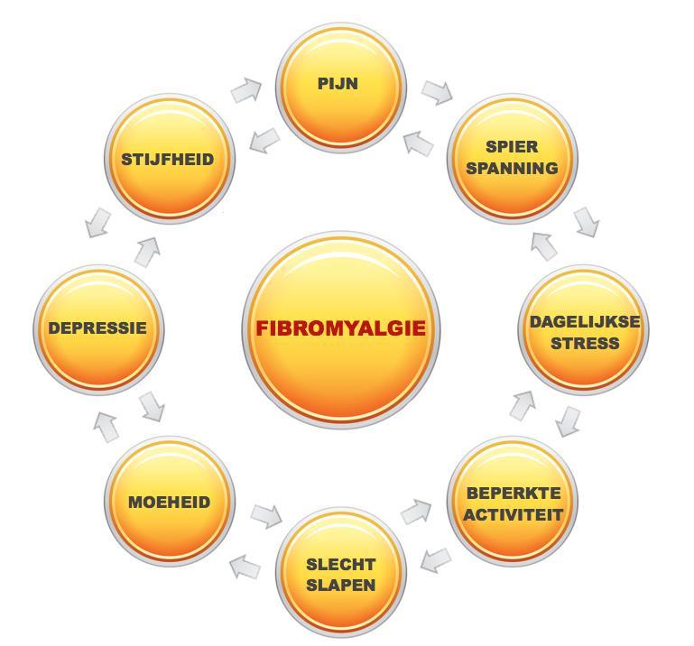 De rol van TuiNa bij de vermindering van klachten bij Fibromyalgie Afstudeerscriptie