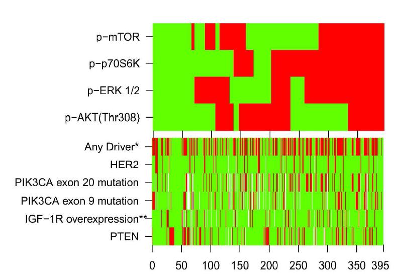 PIK3CA mutatie correleert niet met eiwit The Cancer Genome Atlas Network, Nature, 2012 Beelen et al.