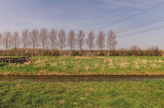 Papendrecht Aalscholver 1 Badkamer: 2.14 1.