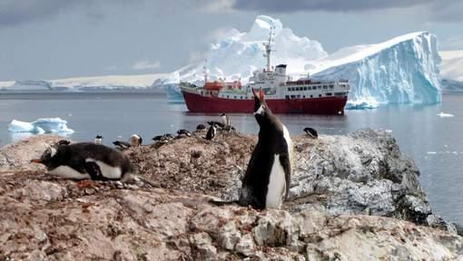 000 Advertentie Derde grootste ijsberg ooit is losgescheurd van Antarctica TT 12/07/17, 12u06 27 REACTIES Wat wetenschappers al