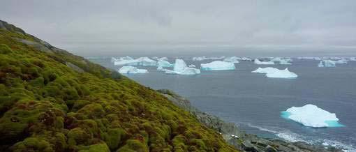 .. Plasticvervuiling Antarctica veel erger dan gedacht Redactie 20/06/17, 16u09 5 REACTIES De concentratie aan microplastics die