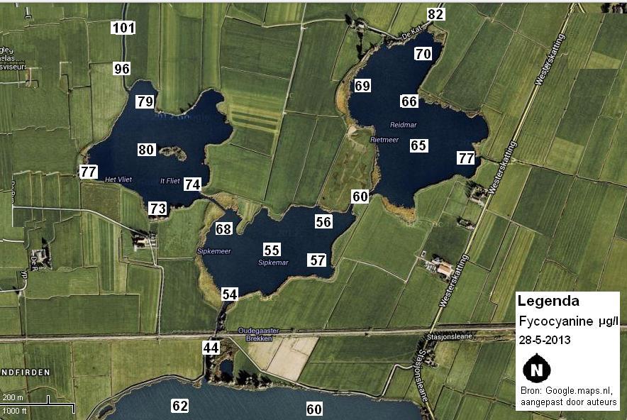 P a g i n a 118 Figuur 40 Kaart waarin de spreiding wordt weergegeven in en tussen de Friese meren Rietmeer, Vlietmeer en het