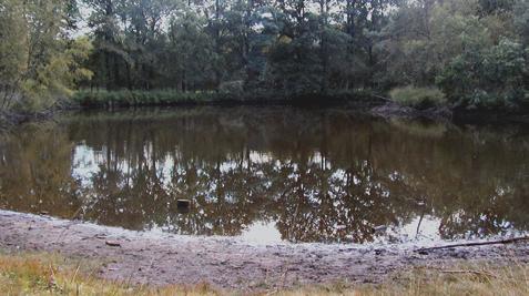 Het bestaat uit beboste landduinen. Het is eigendom van de Stad Turnhout.