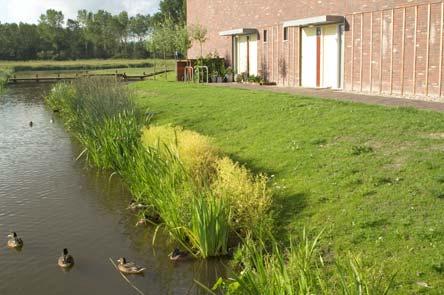 figuur 3-2 Voorbeelden van natuurvriendelijke oevers De kaart geeft aan dat vanuit de ruimtelijke visie een bepaalde oeverinrichting en een bepaald percentage aan drijvende beplanting gewenst is.