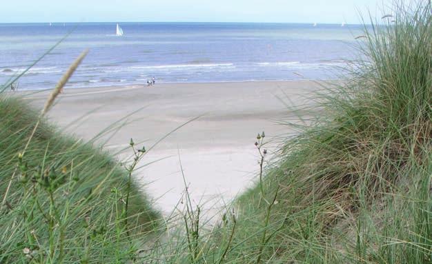 Het resultaat van dit traject is live te bewonderen in het WZC Huis aan zee in Blankenberge. wanneer: van 14u tot 17u waar: Woonzorgcentrum Huis aan zee (Maurice Devriendtlaan 12, Blankenberge).