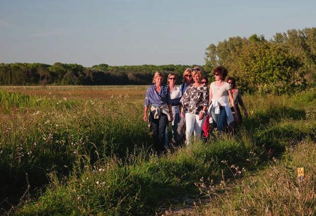 zaterdag 29 april 2017 Zwinwandeling Wandeling door slikken en schorren van de Zwinvlakte met aandacht voor zand en verzanding en hoe daaraan te verhelpen.