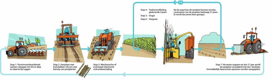 de aanplanting of na de vorige oogst, in zijn totaliteit wordt geoogst.