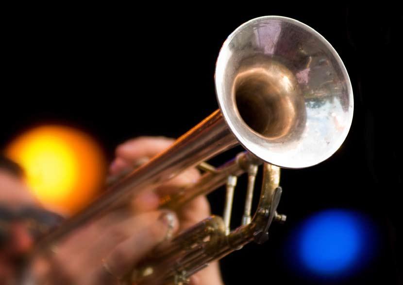 Analyseert de toonkwaliteit van fluit, klarinet en trompet App voor ios-apparaten