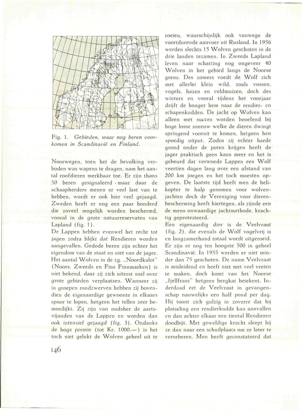 Fig. I. Gebieden, waar nog beren voorkomen in Scandinarië en Finland. Noorwegen, toen het de bevolking verboden was wapens te dragen, nam het aantal roofdieren merkbaar toe.