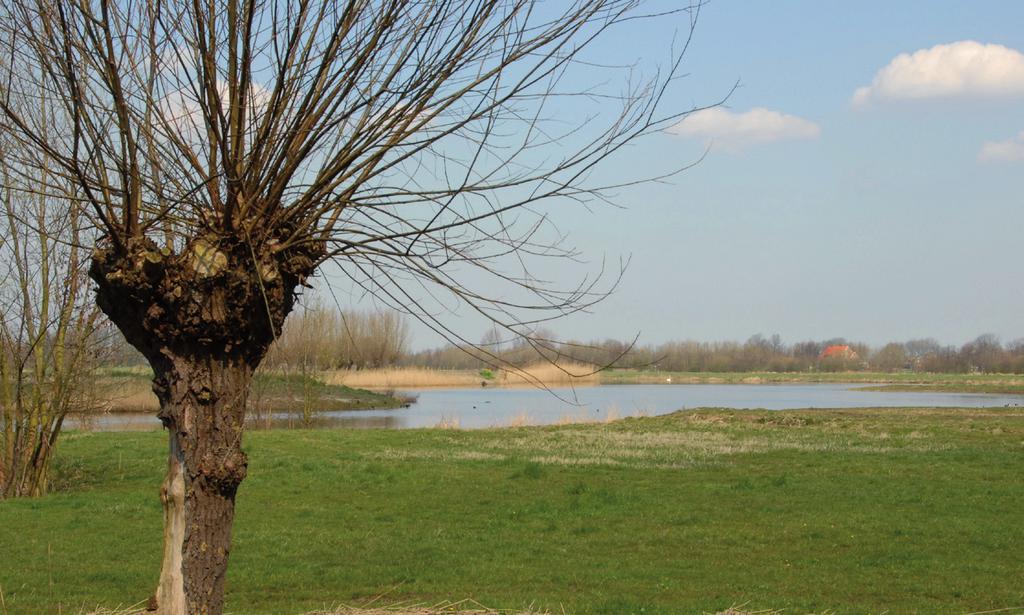 Inleiding De provincie Zuid-Holland heeft als taak het provinciaal- /rijksbeleid uit te voeren. Zij doet er alles aan om dit goed en zorgvuldig te doen.