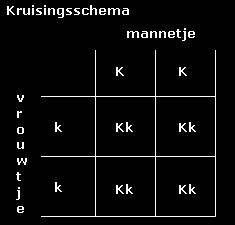 25%; rr geeft een ovale tomaat Voorbeeld 2 1.