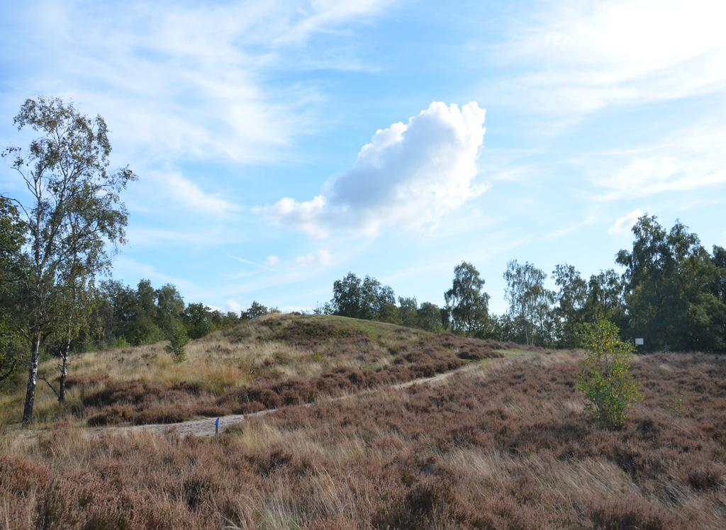 BEVOLKINGSDYNAMIEK BEVÖLKERUNGSDYNAMIK 16 Nationaal Park de