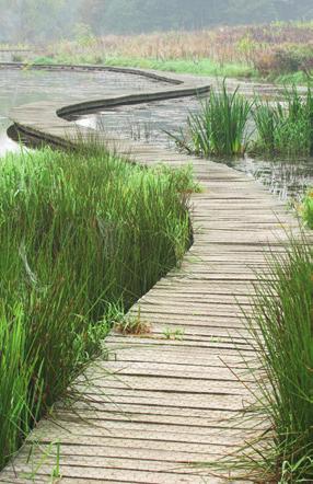 multifunctioneel watergebruik een veilige en duurzame waterrecreatie. Het forum zal ook aandacht hebben voor de nodige afstemming met het Federaal Overlegplatform Pleziervaart.