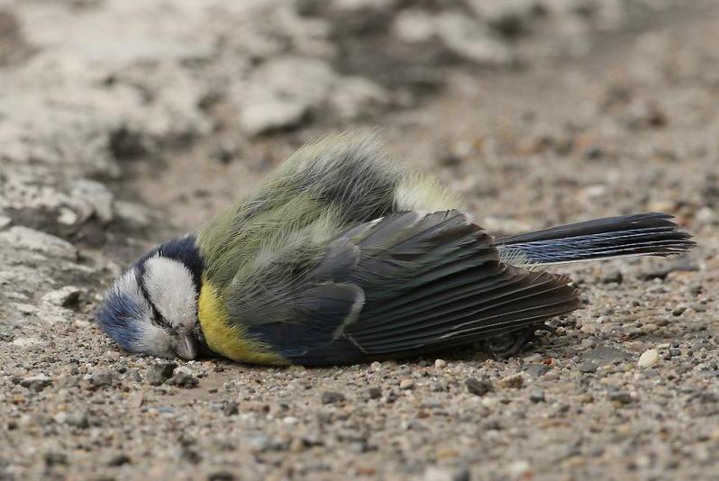 trajecten Natuur.