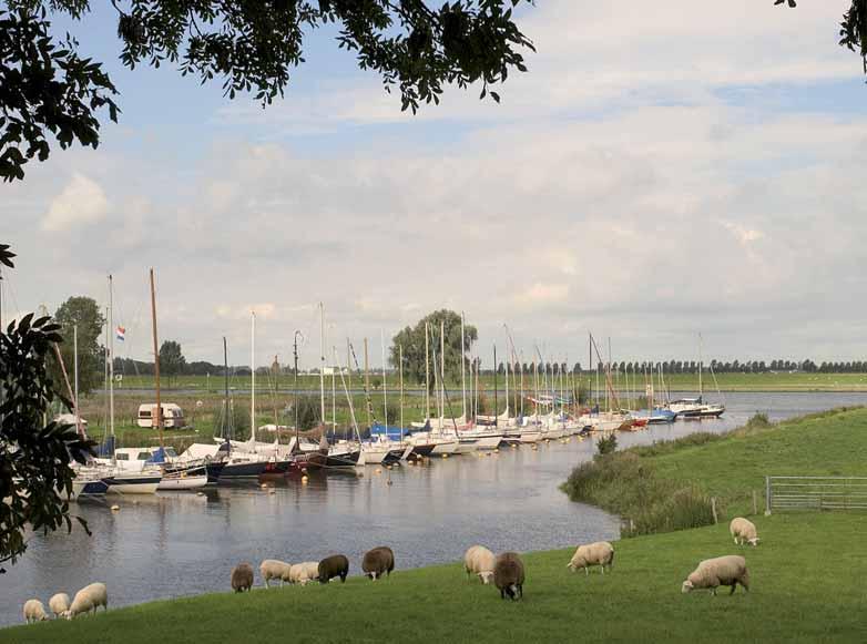 werkt... aan een groene stad Waalwijk wil de nadruk leggen op een goede afweging tussen ecologie, economie en de mens.