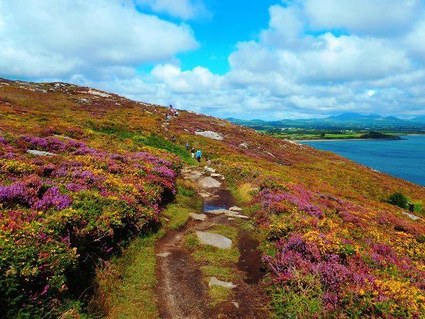 Op Anglesey maken we een wandeltocht langs spectaculaire zee kliffen en door historische plaatsen.
